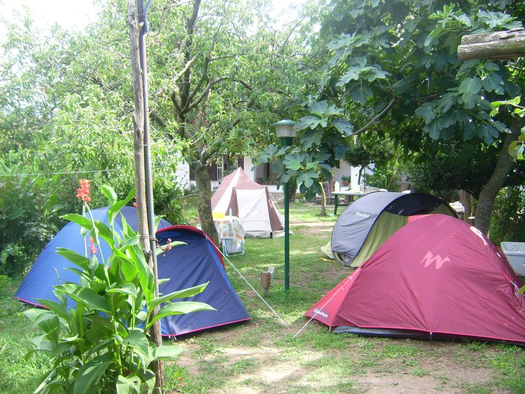 Agriturismo Mare E Monti Hostal Tramonti Exterior foto