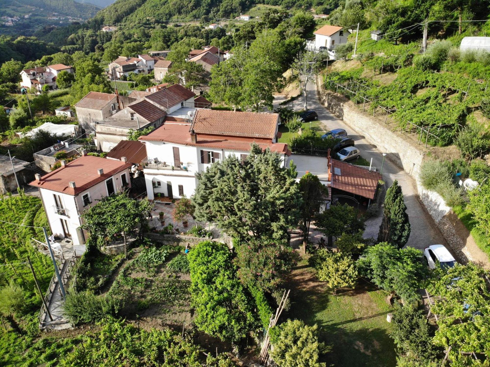 Agriturismo Mare E Monti Hostal Tramonti Exterior foto