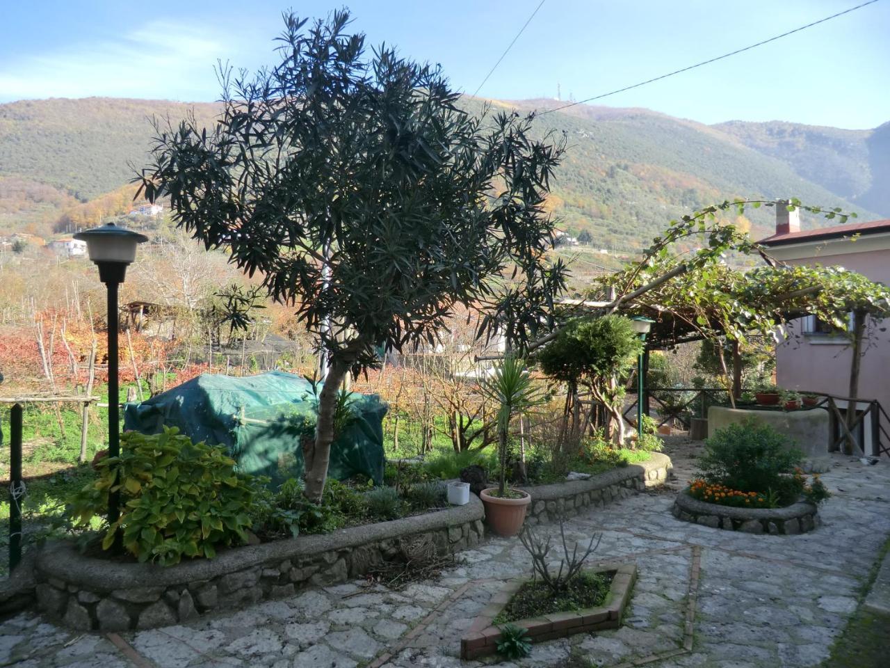 Agriturismo Mare E Monti Hostal Tramonti Exterior foto